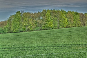 01 - Niesgrau