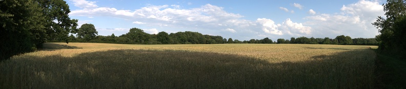 Panorama3.jpg