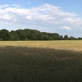 Panorama3.jpg